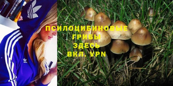 гашик Алексеевка