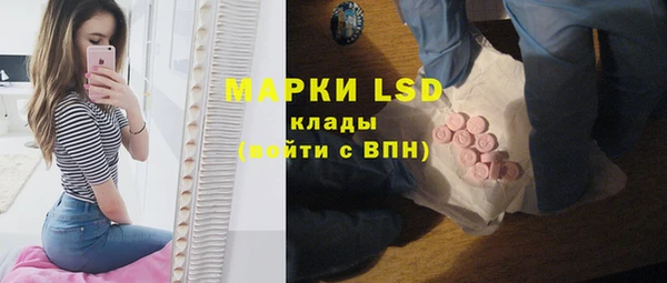 прущие грибы Абдулино