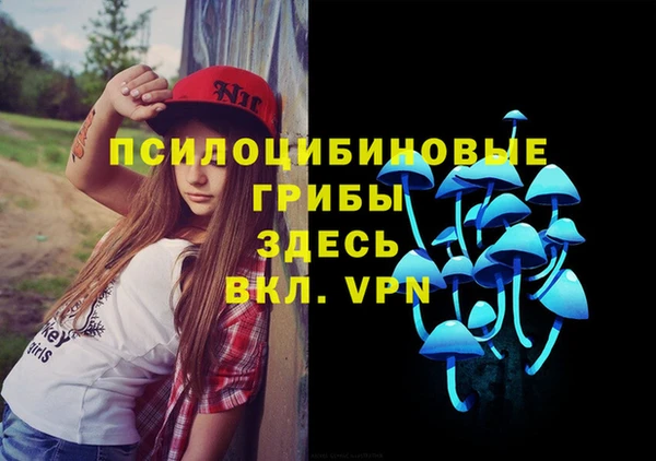 прущие грибы Абдулино