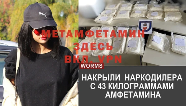 прущие грибы Абдулино