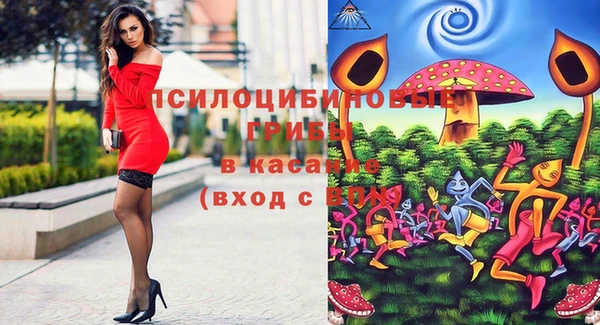 гашик Алексеевка