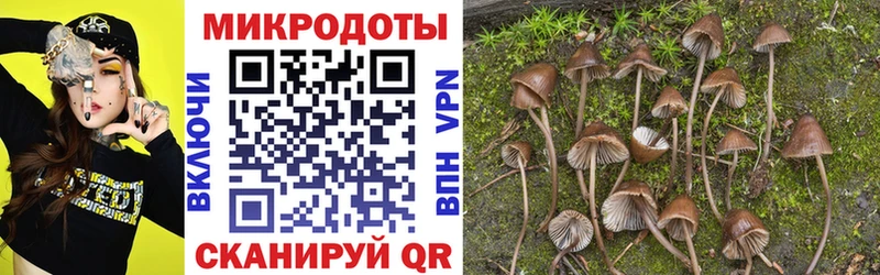 Галлюциногенные грибы Cubensis  мега онион  Агидель  закладки 
