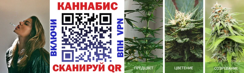 Бошки марихуана семена MEGA маркетплейс Агидель даркнет сайт
